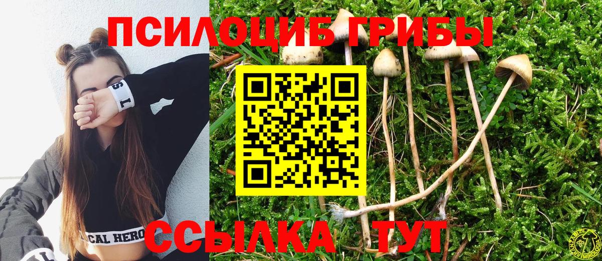 Галлюциногенные грибы GOLDEN TEACHER Хасавюрт